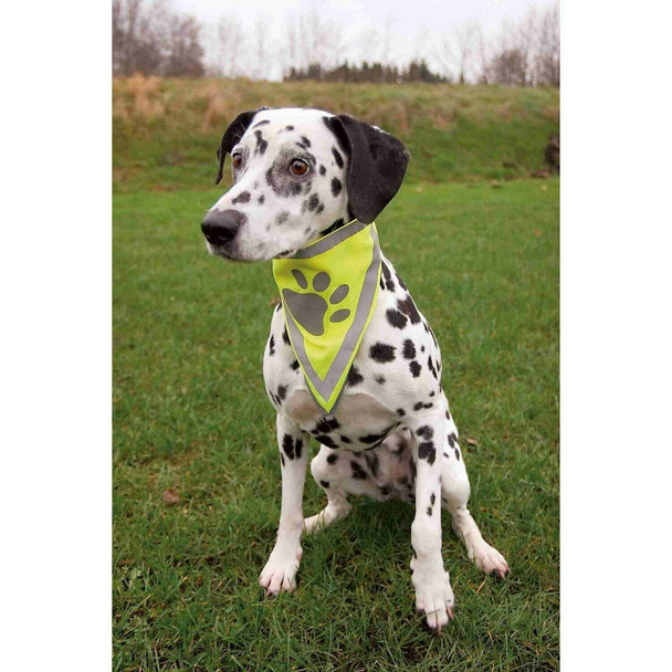 Trixie Safer Life Neckerchief for Dog, 42 cm