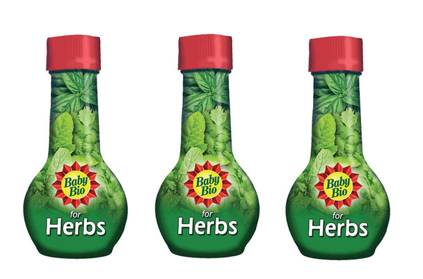 3 x Baby Bio Herb Food Feed Fertilizer 175Ml