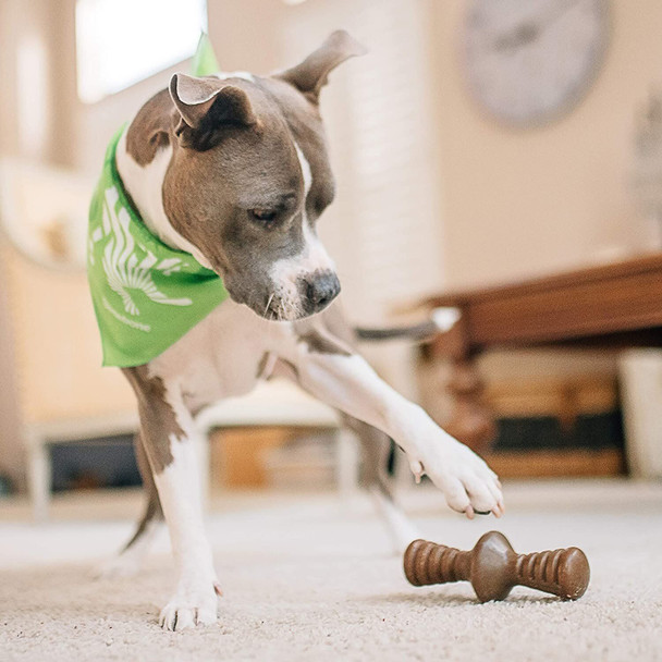 Benebone Zaggler Durable Rolling Dog Chew Toy for Aggressive Chewers, Real Bacon, Large, Made in the USA.