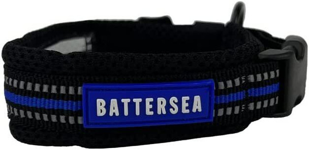 Battersea Reflective Dog Collar Blue M