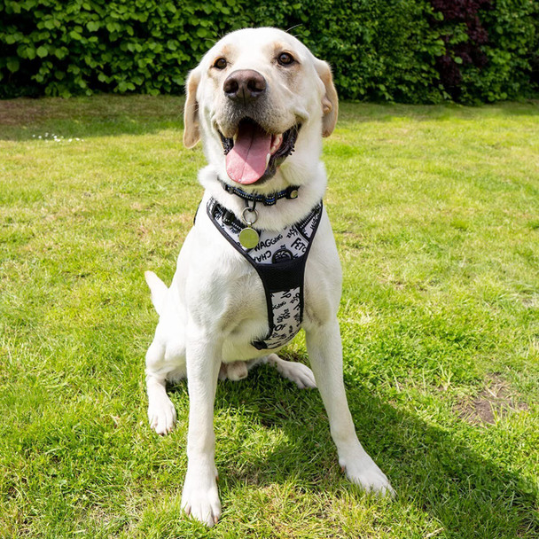 Battersea Dog Harness L