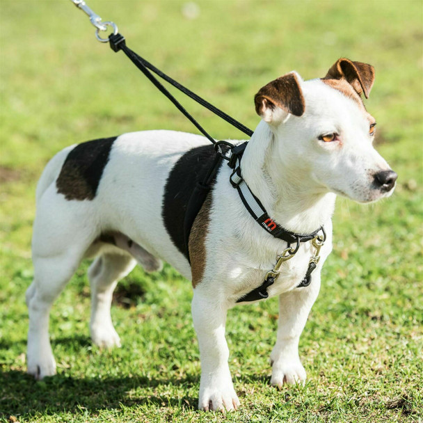 Mikki Dog Anti-Pull Harness, Comfortable and Kind Control, Adjustable Collar - S
