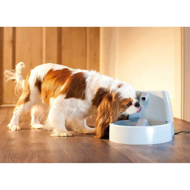 PetSafe Drinkwell Automatic Pet Carbon Filtered Water Fountain 1.5L for Cat/Dog