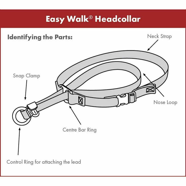 PetSafe Easy Walk Headcollar, No-pull Dog Walking Lead, Adjustable Fit, Comfortable, Medium-Black