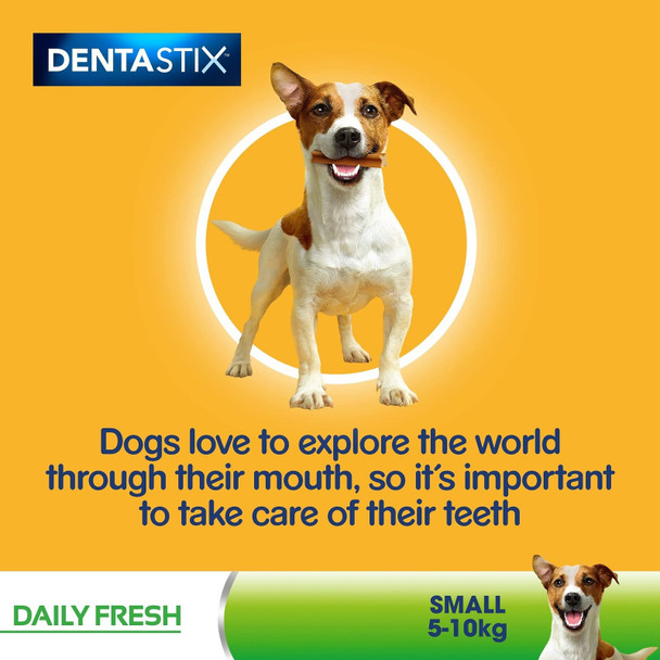 Pedigree Dentastix Fresh, Daily Dental Care Chews, Small Dog Treats from 5-10 kg, 7 Sticks