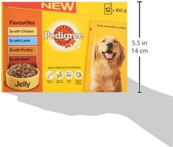 Pedigree Wet Dog Food for Adult Dogs 1+ Mixed Selection in Jelly 12 Pouches (12 x 100 g)