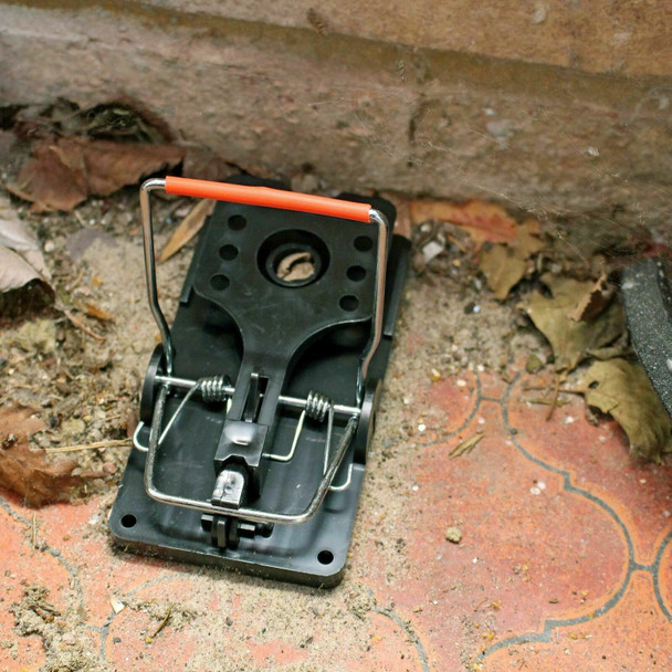 Rentokil Advanced Mouse Trap