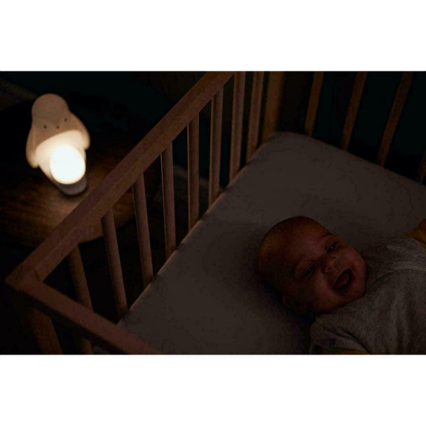 Tommee Tippee 2-in-1 Portable Penguin Nursery Night light with Portable Egg Light, Adjustable Brightness, USB-Powered