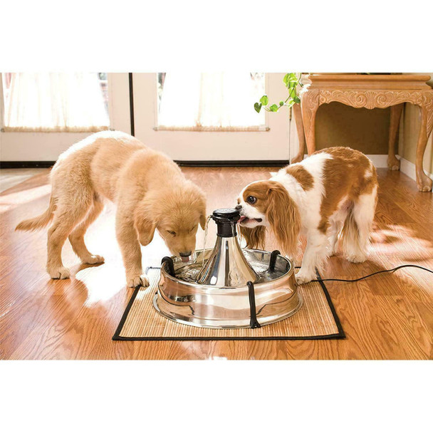 PetSafe Adjustable 360 Stainless Steel Pet Fountain, Drinking Fountain for Cats and Dogs, No Splash or Spills, Drinkwell