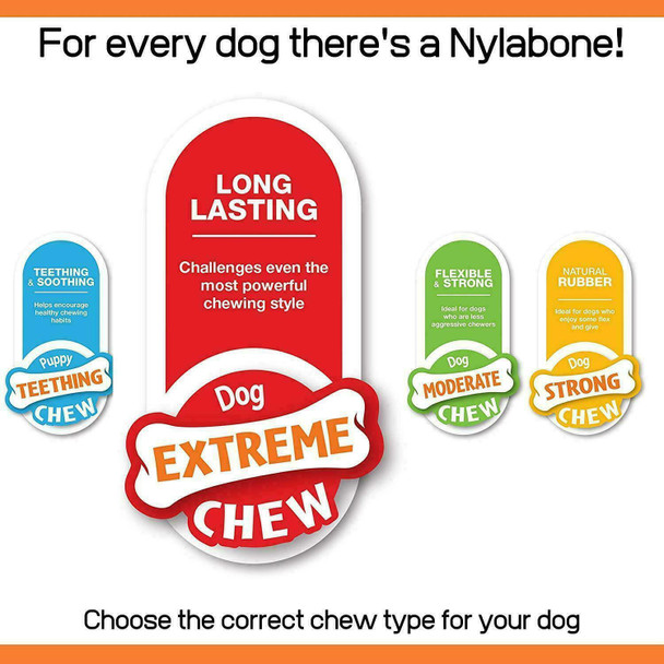 Nylabone (3 Pack) Power Chew Beef Flavored Small X Bone for Dogs up to 25 Pounds