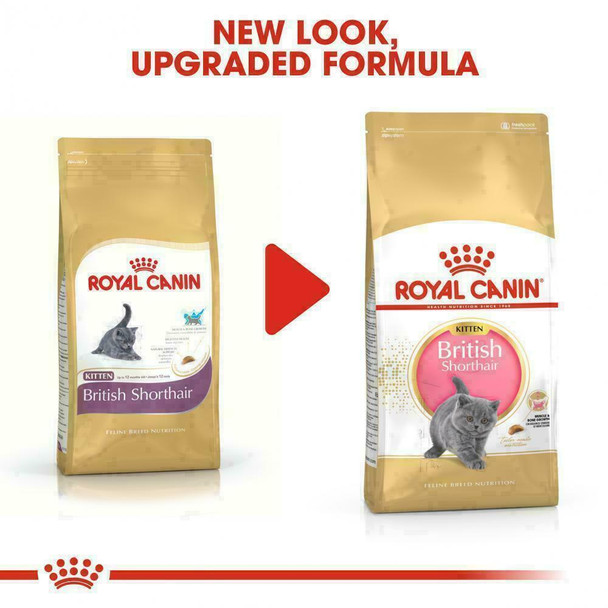 Royal Canin Kitten British Shorthair Dry Food 400g