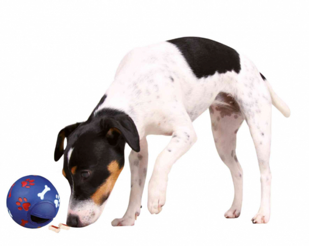 Trixie Dog Activity Plastic Snack Ball, 7 cm Diameter