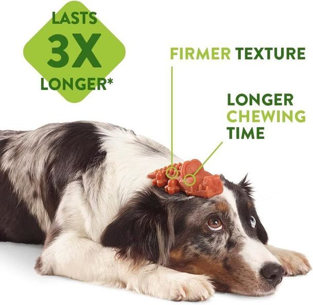 WHIMZEES Stix, Natural and Grain Free Dog Dental Sticks, Dog Chews for Medium Breeds, 14 Pieces, Size M, 0.42 kilograms