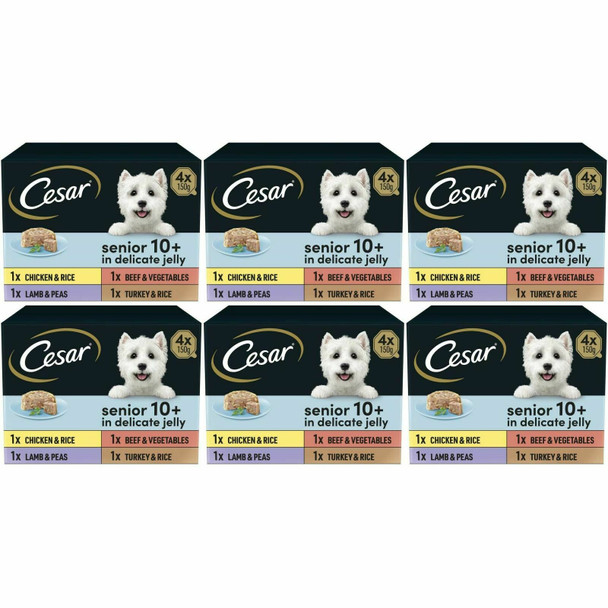 Cesar 10+ Wet Dog Food for Senior Dogs, Meat Selection in Jelly, 24 Trays (24 x 150 g)