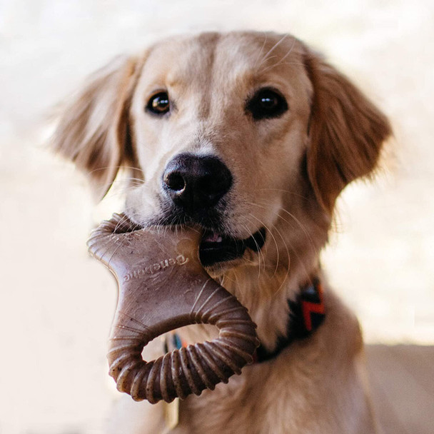 Benebone Durable Dental Dog Chew Toy for Aggressive Chewers, Real Bacon, Small, Updated Design.