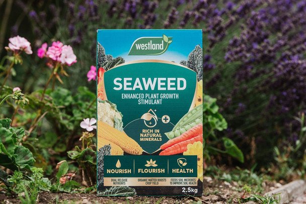 Westland Seaweed Enhanced Plant Growth Stimulant, 2.5 kg