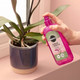 2 x Miracle-Gro Spray & Spritz Hydration Mist for Orchids Ready to Use 300ml