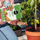 Miracle-Gro Performance Organics Granular Plant Food (Bee, Pet & Child Friendly) Fruit & Veg Plant Food, 1 kg