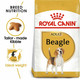 Royal Canin Beagle Adult Dry Dog Food Mix, Weight Management, For 12 Months, 3kg