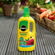 Miracle-Gro All Purpose Concentrated Liquid, Plant Flower & Vegetable Food - 1L