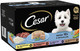 Cesar 10+ - Wet Dog Food - for Senior Dogs - Tray with Chicken, Beef, Lamb and Turkey in Jelly - 24 x 150 g