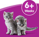 Whiskas Cat Milk - Complementary Cat Food - 15 x 200 ml