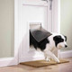 Petsafe Door for pets, 640 up to 45 kg. Colour: white. Material: aluminium