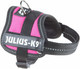 Trixie Julius-K9 Powerharness Dog Harness 3XS/Baby 1: 26–36 cm/18 mm, Fuchsia