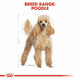 Royal Canin Poodle Adult Dry Dog Food 1.5kg