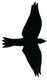 Trixie Bird of prey silhouettes, 17/18/25 cm, 3 pcs