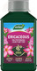 Westland Horticulture 20100441 Ericaceous High Performance Liquid Plant Food 1L