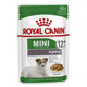 24 x Royal Canin Mini Senior Wet Dog Food in Gravy - Small Dogs up to 10kg - 85g