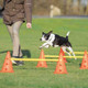 Trixie Dog Agility Obstacles, set 3 pcs.,orange, yellow