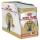 Royal Canin British Shorthair with Gravy Wet Pouches Adult Cat 85g (Pack of 24)