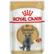 Royal Canin British Shorthair with Gravy Wet Pouches Adult Cat 85g (Pack of 24)