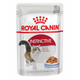 24 x Royal Canin Wet Cat Food Instinctive in Jelly 85g Pouch, Maintains Weight