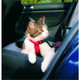 Trixie Car Harness For Cats, 20-50 cm/15 mm, Red
