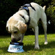 Battersea Collapsible Water Bowl