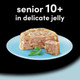 Cesar 10+ Senior Wet Dog Food, Chicken, Beef, Lamb and Turkey in Delicate Jel...