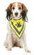 Trixie Safety Neckerchief, L-Xl: 43-60cm