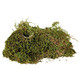 Trixie Terrarium Moss for Humid Terrariums, 200 g