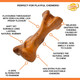 Nylabone Strong Tough Durable Rubber Dog Chew Toy Bone, Beef and Gravy Flavour, Small, for dogs up to 11 kg