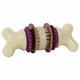 PetSafe Busy Buddy Bristle Bone Dog Chew Toy, S