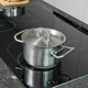 HG Hob Cleaner for Everyday Use, Induction Stove, Metal Ring, Glass & Ceramic Safe, Freshly Scented - 500ml Spray (109050106)