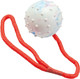 Trixie Dog Ball on a Rope, Natural Rubber, Floats for Puppies