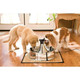 PetSafe Adjustable 360 Stainless Steel Pet Fountain, Drinking Fountain for Cats and Dogs, No Splash or Spills, Drinkwell