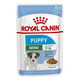 12 x Royal Canin Mini Puppy Wet Dog Food in Gravy - 10 Months/10kg Adult - 85g