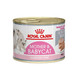 ROYAL CANIN First Age Mousse Mother & Baby Cat Wet Cat Food - 12 x 195g