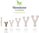 Benebone Puppy Tiny 2-Pack Durable Dental Chew/Wishbone for Aggressive Chewers, Real Bacon, Made in the USA.