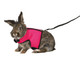 Trixie 61513 Harness for Small Animals for Rabbits Nylon 14 - 19 cm / 25 - 32 cm (Assorted Colors)